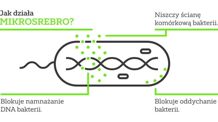 Antibacterial jak działają pojemniki M.jpg