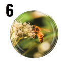 Zakrętka pszczoła  wzór 6..png